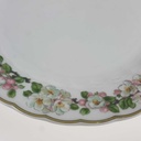 [2119257] 5er Set Speiseteller Essteller 24,3 cm Eschenbach Blumenranke gebraucht - akzeptabel Bild 5