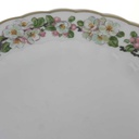 [2119257] 5er Set Speiseteller Essteller 24,3 cm Eschenbach Blumenranke gebraucht - akzeptabel Bild 6