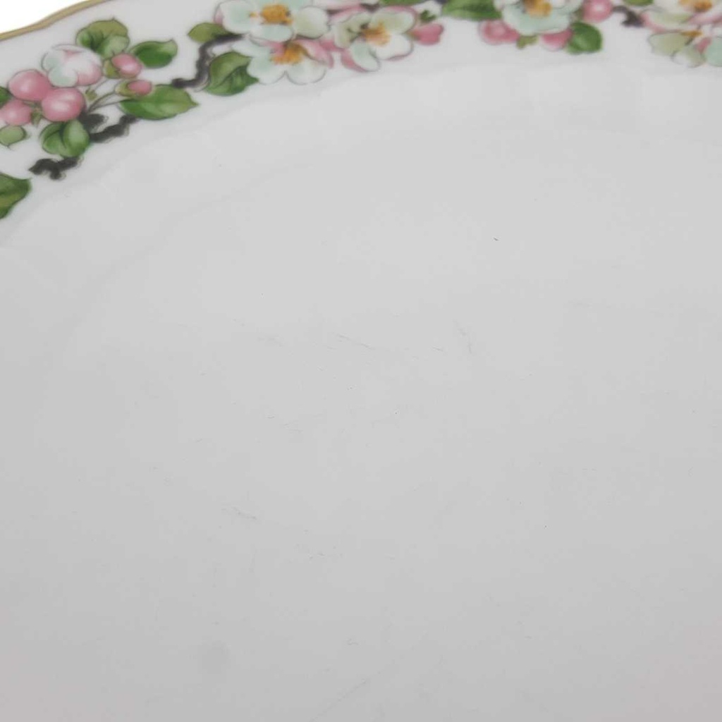 [2119257] 5er Set Speiseteller Essteller 24,3 cm Eschenbach Blumenranke gebraucht - akzeptabel Bild 7