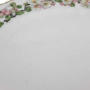 [2119257] 5er Set Speiseteller Essteller 24,3 cm Eschenbach Blumenranke gebraucht - akzeptabel Bild 7