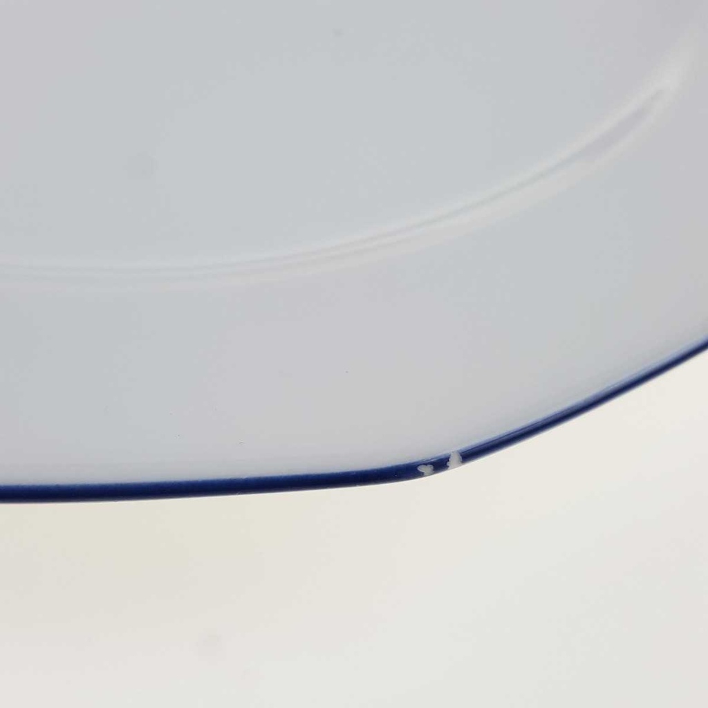 [458168087] Speiseteller Essteller 24,5 cm Marienbad Ingres Weiss blauer Rand gebraucht - akzeptabel Bild 5