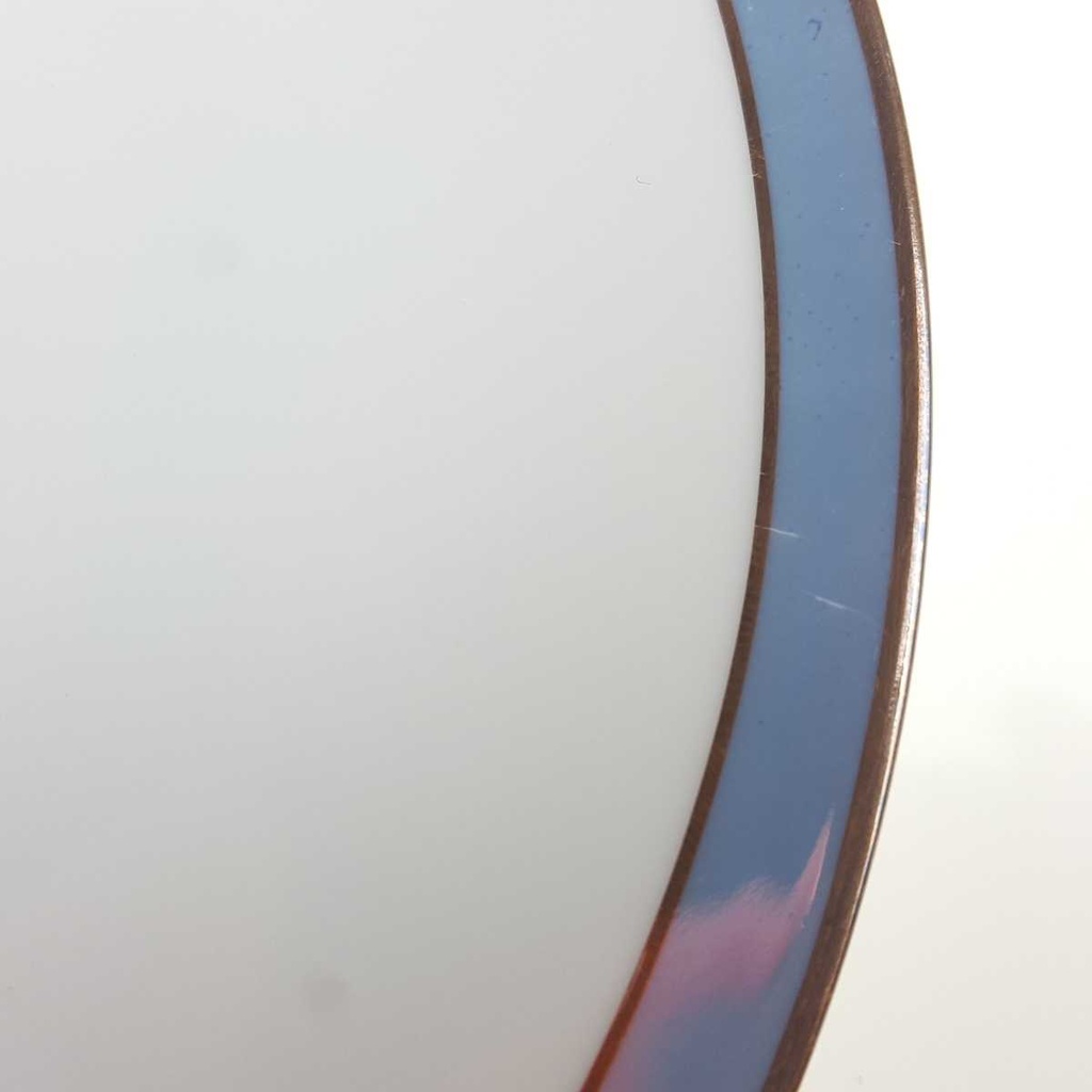 [458168296] Kuchenteller Dessertteller Goldrand 19,5 cm Schaller Blauband weiß Bavaria gebraucht - gut Bild 5