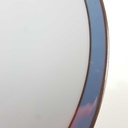 [458168296] Kuchenteller Dessertteller Goldrand 19,5 cm Schaller Blauband weiß Bavaria gebraucht - gut Bild 5