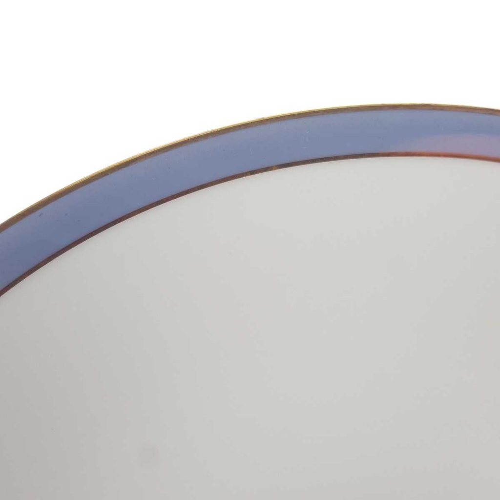 [458168297] Suppenteller Goldrand 21,5 cm Schaller Blauband weiß Bavaria gebraucht - gut Bild 6