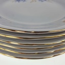[2119291] 6er Set Kuchenteller Goldrand 19,8 cm Schaller blaue Blume weiß Blumen Bavaria gebraucht - gut Bild 4