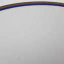 [458168453] Speiseteller Goldrand 24,2 cm Bareuther Waldsassen geriffelt Blauband Weiß gebraucht - gut Bild 5
