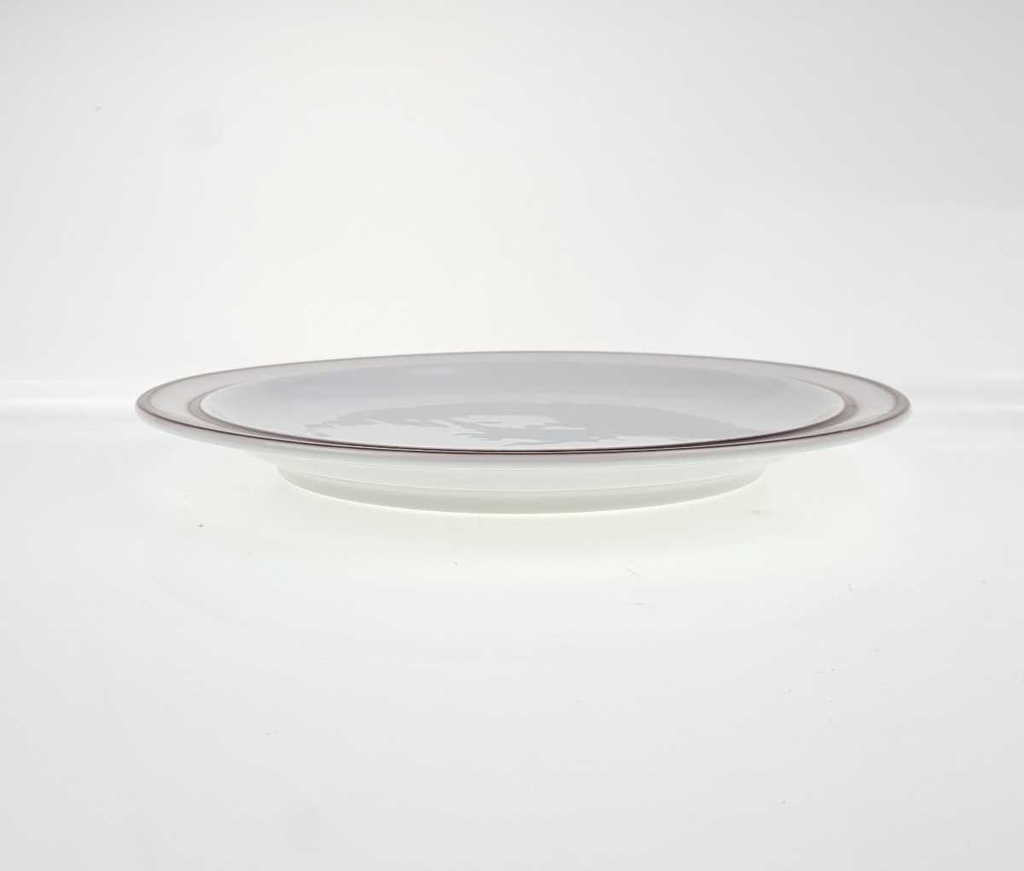 [458169149] Speiseteller 25 cm Thomas Porzellan Scandic Shadow braun Bild 3