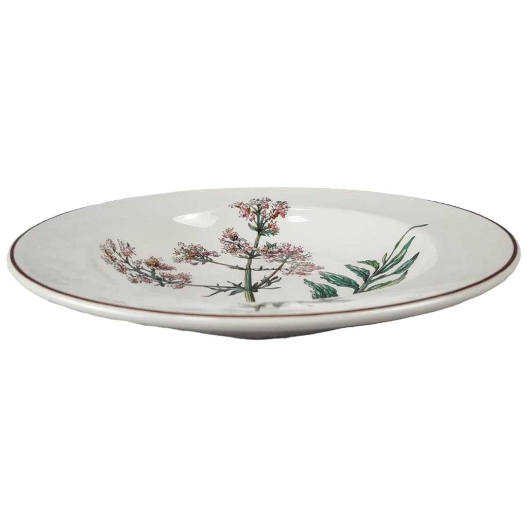 [45816933] Suppenteller 22 cm Villeroy & Boch Botanica gebraucht - gut Bild 2