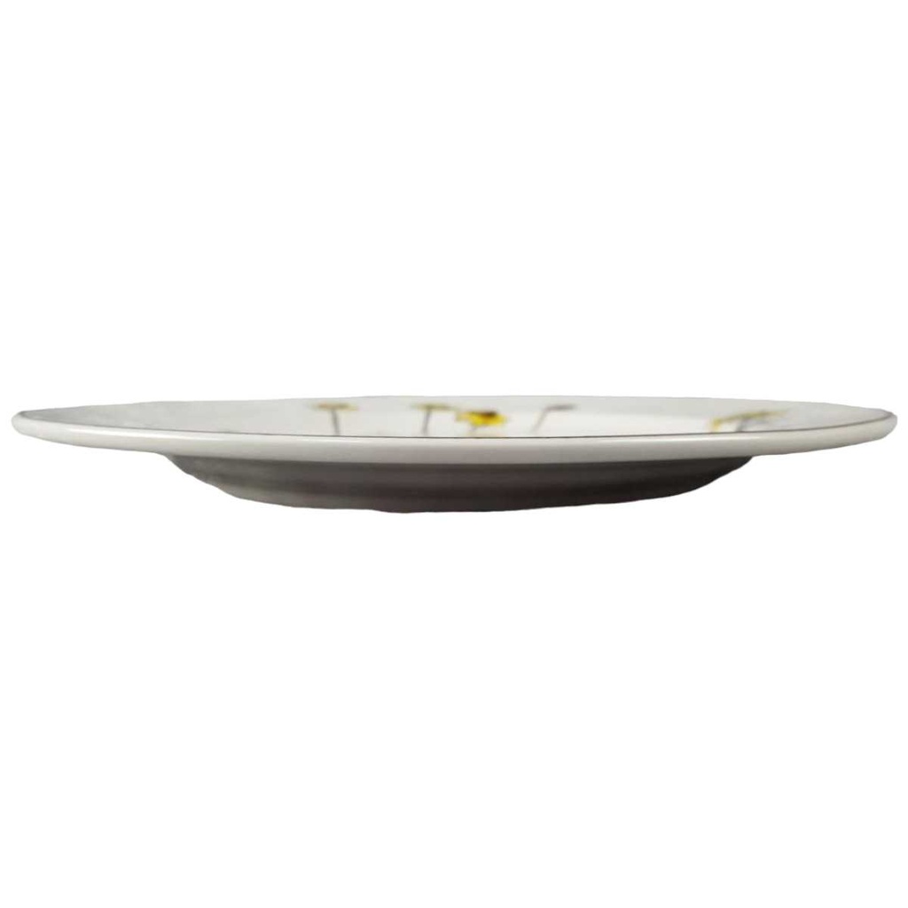 [45816934] Speiseteller Essteller 24,2 cm Villeroy & Boch Botanica I. Wahl Bild 2