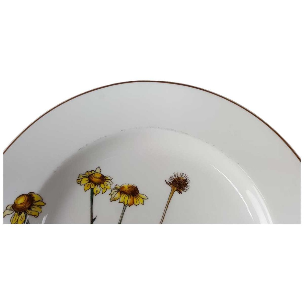 [45816936] Fleischplatte 33,2x22,4 cm Villeroy & Boch Botanica gebraucht - gut Bild 2