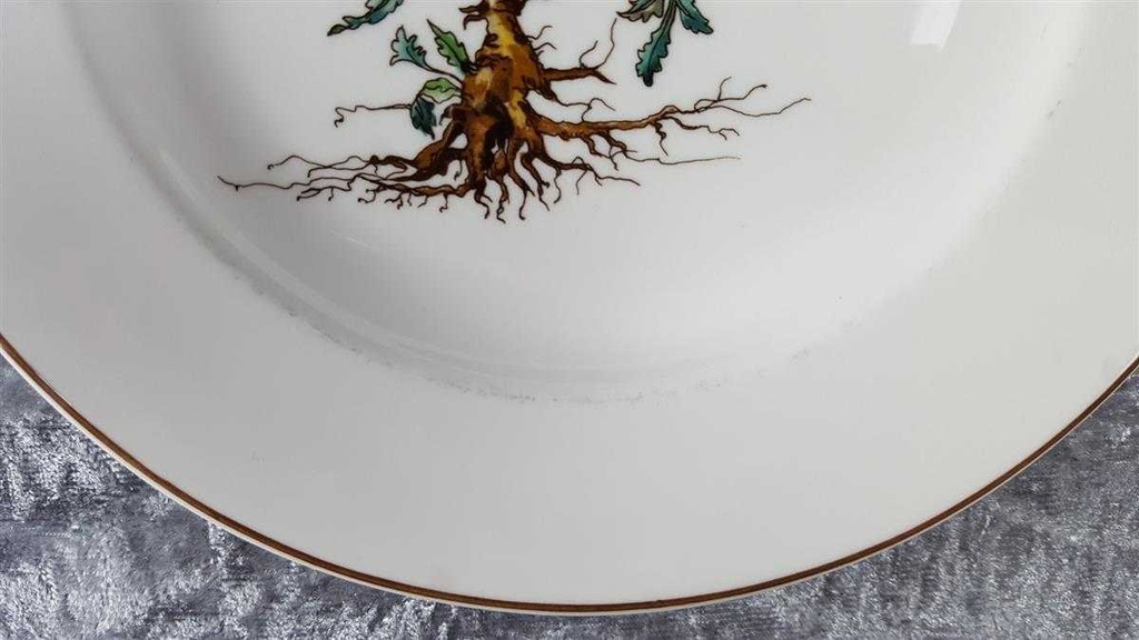 [45816936] Fleischplatte 33,2x22,4 cm Villeroy & Boch Botanica gebraucht - gut Bild 3