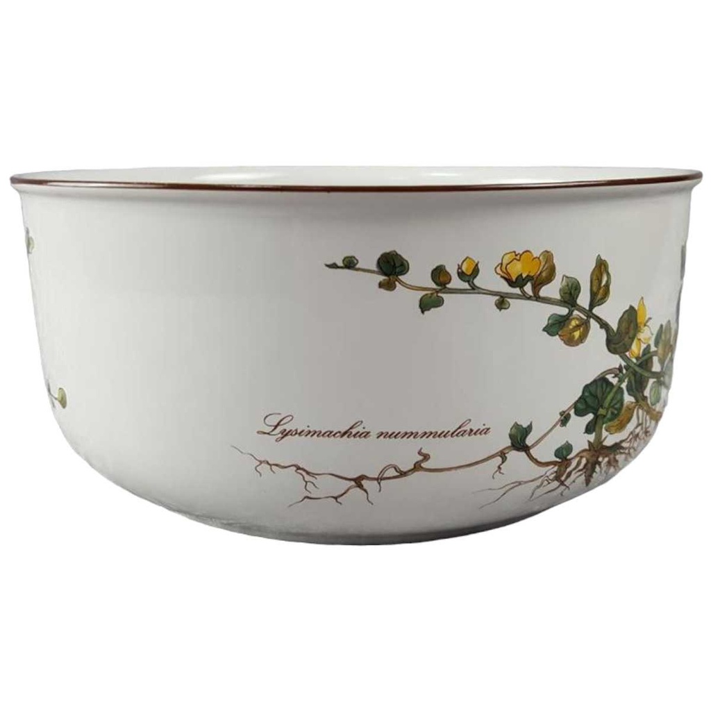 [45816939] Schüssel groß 23,4 cm Villeroy & Boch Botanica Lysimachia nummularia gebraucht - akzeptabel Bild 2