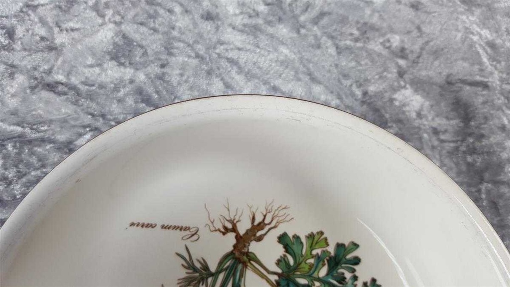 [45816941] Schüssel klein 17 cm Villeroy & Boch Botanica gebraucht - akzeptabel Bild 4