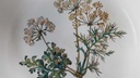 [45816941] Schüssel klein 17 cm Villeroy & Boch Botanica gebraucht - akzeptabel Bild 6