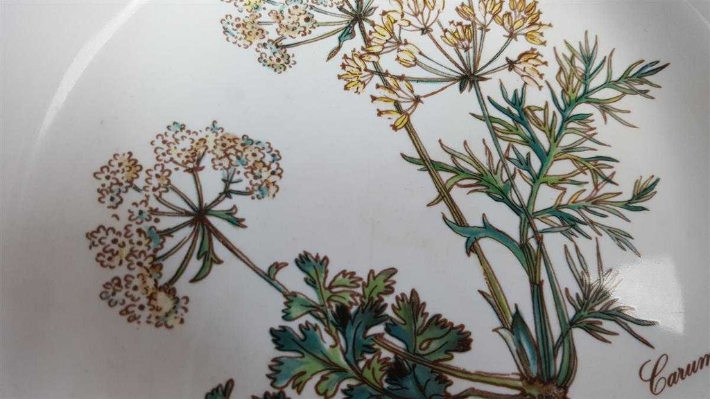 [45816941] Schüssel klein 17 cm Villeroy & Boch Botanica gebraucht - akzeptabel Bild 7