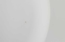 [2119312] 6er Set Suppenteller 22,5 cm Winterling Schwarzenbach Vergissmeinnicht gebraucht - defekt Bild 6