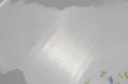 [45816951] Fleischplatte 36x25,5 cm Winterling Schwarzenbach Vergissmeinnicht gebraucht - gut Bild 5