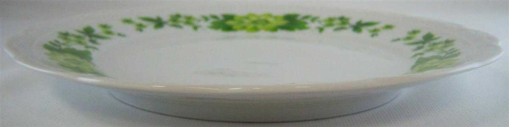 [4581697] Kuchenteller Dessertteller Frühstücksteller 19,8 cm Mitterteich Form 100 grüne Blume gebraucht - sehr gut Bild 2
