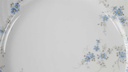 [45817009] Speiseteller Essteller 25,2 cm Eschenbach La Reine Form 800 Vergissmeinnicht gebraucht - gut Bild 3