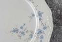 [45817009] Speiseteller Essteller 25,2 cm Eschenbach La Reine Form 800 Vergissmeinnicht gebraucht - gut Bild 4