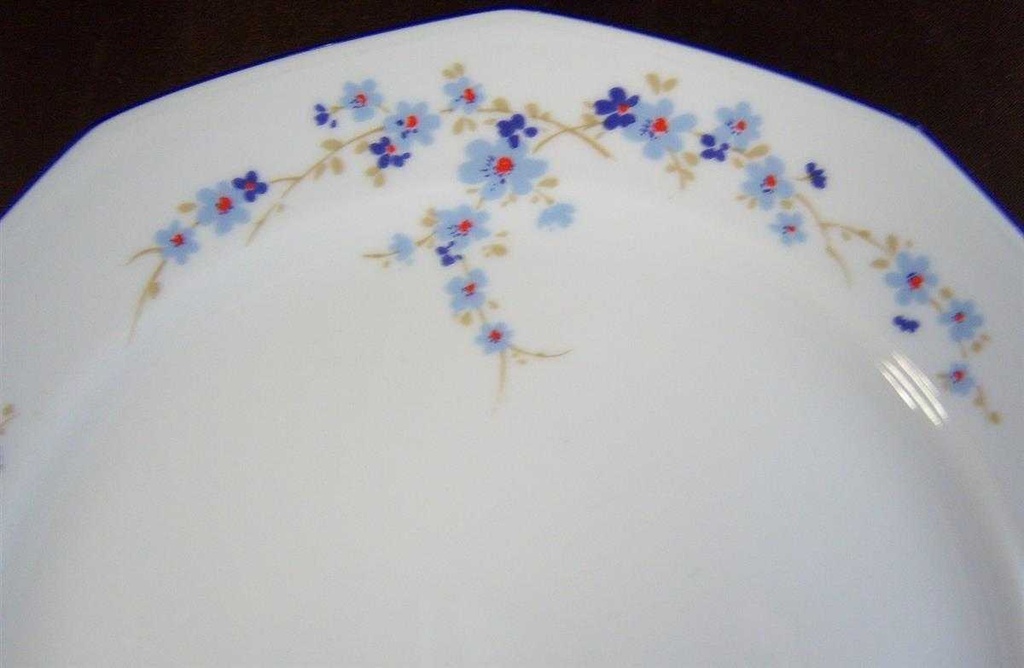 [4581705] Speiseteller Essteller 24 cm Winterling Marktleuthen Blumendekor Blau Blumen gebraucht - gut Bild 4