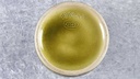 [45817227] Vase Blumenvase 40 cm Jasba Keramik gebraucht - akzeptabel Bild 9
