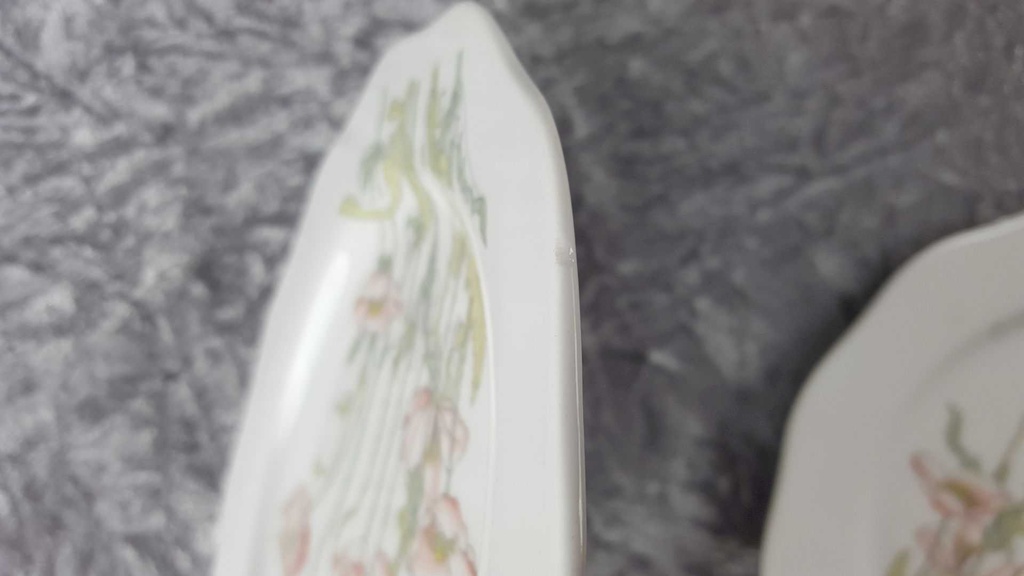 [2119333] 2er Set Kuchenteller Dessertteller Frühstücksteller 21 cm Villeroy & Boch Gallo Secunda Roter Mohn gebraucht - akzeptabel Bild 4