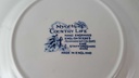 [45817631] Kuchenteller Dessertteller Frühstücksteller 20,1 cm Myott Country Life Blau gebraucht - gut Bild 6