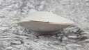 [45817684] Schale Teller Goldrand Creidlitz Porzellanfabrik gebraucht - gut Bild 4