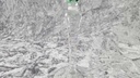 [45817754] Weinglas 20 cm Weintraubendekor Grün gebraucht - sehr gut Bild 4