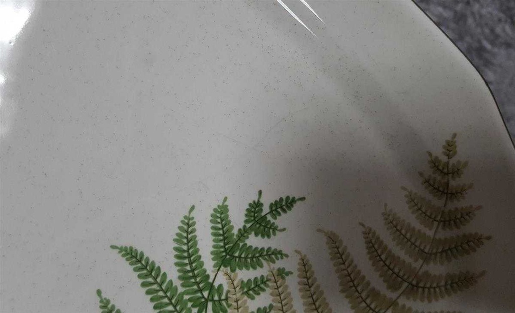[45817787] Servierplatte 28x18,4 cm Winterling Kirchenlamitz Farn Thelypteris palustris II. Wahl gebraucht - sehr gut Bild 4