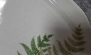 [45817787] Servierplatte 28x18,4 cm Winterling Kirchenlamitz Farn Thelypteris palustris II. Wahl gebraucht - sehr gut Bild 4