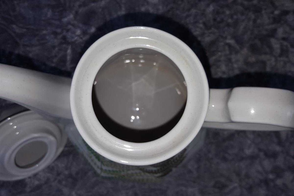 [45817883] Kaffeekanne Kanne 0,95 L Winterling Kirchenlamitz Farn Thelypteris palustris Grün gebraucht - sehr gut Bild 4