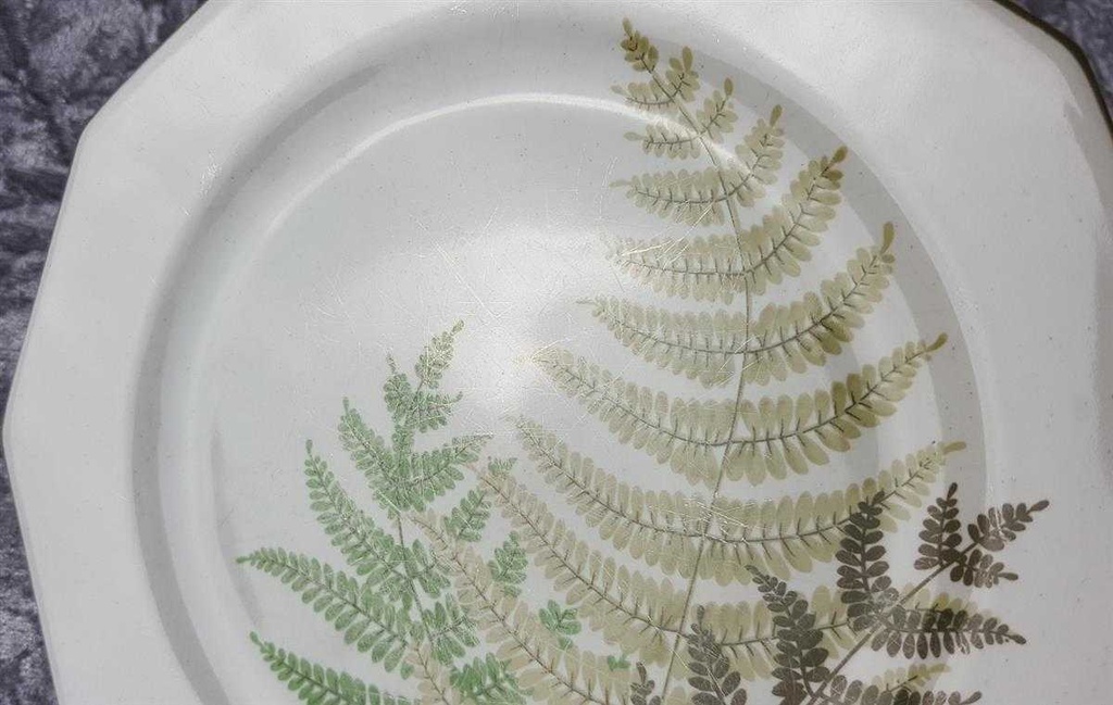 [2119364] 6er Set Kuchenteller Dessertteller Frühstücksteller Winterling Kirchenlamitz Farn Thelypteris palustris II. Wahl Grün gebraucht - gut Bild 4