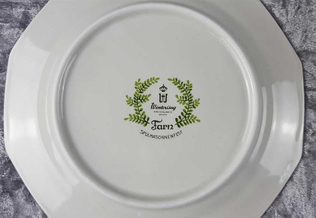[2119364] 6er Set Kuchenteller Dessertteller Frühstücksteller Winterling Kirchenlamitz Farn Thelypteris palustris II. Wahl Grün gebraucht - gut Bild 5