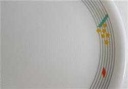 [4581805] Kuchenteller 20,3 cm Thomas Porzellan Trend Sunny gebraucht - gut Bild 3