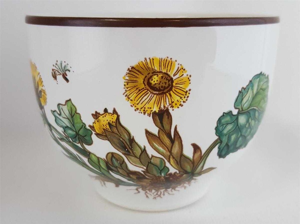 [4581842] Schale Dipschale 8,8 cm Villeroy & Boch Botanica gebraucht - sehr gut Bild 2