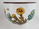 [4581842] Schale Dipschale 8,8 cm Villeroy & Boch Botanica gebraucht - sehr gut Bild 2