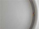 [4581852] Speiseteller Essteller 26 cm Thomas Porzellan Trend Derby gebraucht - gut Bild 3