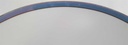 [4581991] Speiseteller Essteller 24,2 cm Schumann Arzberg Blaurand gebraucht - akzeptabel Bild 2