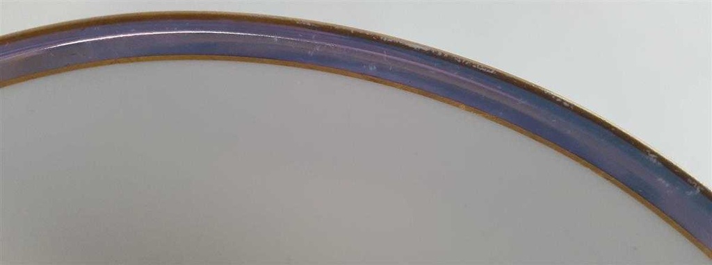 [4581993] Schüssel Servierschüssel 21 cm Schumann Arzberg Blaurand gebraucht - gut Bild 2