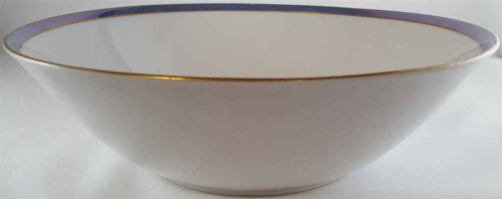 [4581994] Schüssel Servierschüssel 23 cm Schumann Arzberg Blaurand gebraucht - gut Bild 3