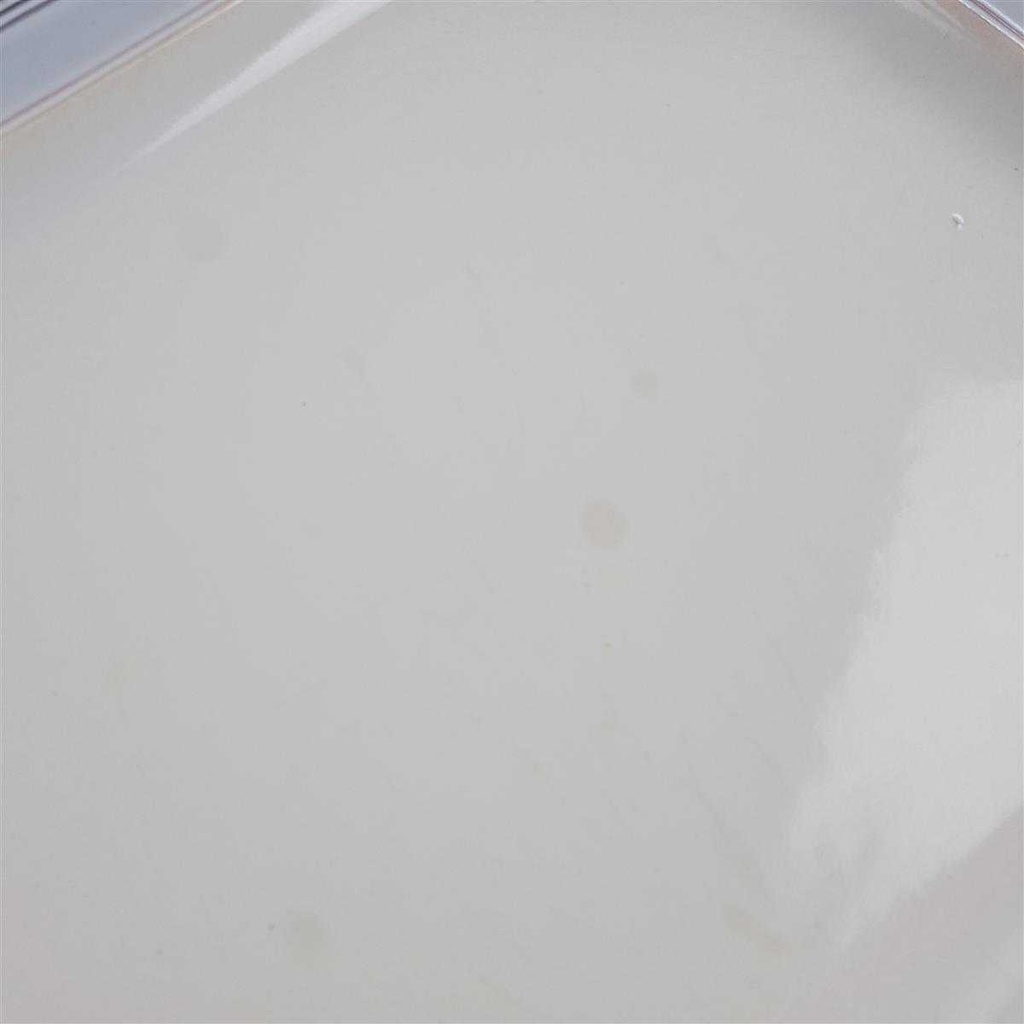 [98101] Servierplatte 37,3x25,2 cm Villeroy & Boch Gallo Leonardo Classic gebraucht - akzeptabel Bild 4