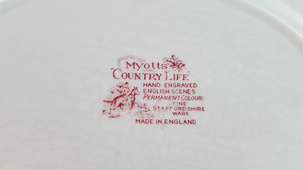 [98123] Servierplatte Fleischplatte 29x22,5 cm Myott Country Life Rot Bild 7