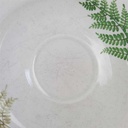 [98157] Untertasse für Kaffee 15,5 cm Winterling Kirchenlamitz Farn Thelypteris palustris gebraucht - gut Bild 3