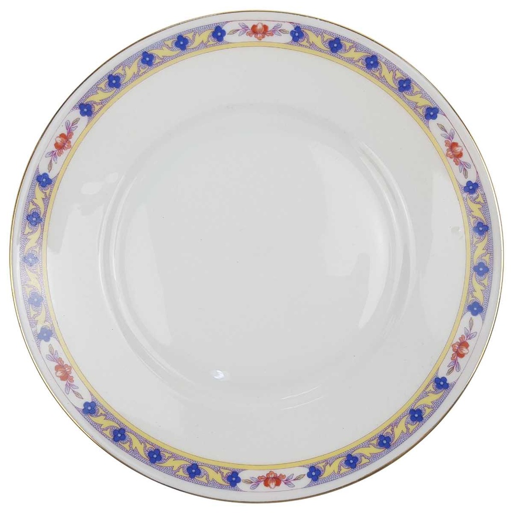 [100071] Kuchenteller Dessertteller Goldrand 19,5 cm Rosenthal Botticelli Bunte Blumenranke Bavaria Selb gebraucht - gut