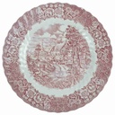 Speiseteller 25,2 cm British Anchor Hocking Memory Lane Rot gebraucht - sehr gut akzeptabel