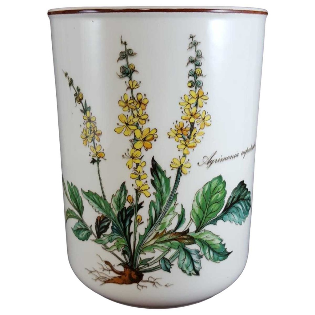 Saftbecher Villeroy & Boch Botanica I.Wahl gebraucht - sehr gut