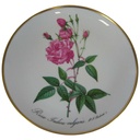 Wandteller Hutschenreuther P.J.Redoute aus dem Rosarium von Malmaison gebraucht - gut