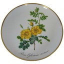 Wandteller Hutschenreuther P.J.Redoute aus dem Rosarium von Malmaison gebraucht - gut